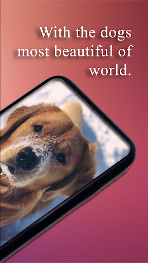 WallDog - Dogs 4k Wallpapers Screen 3