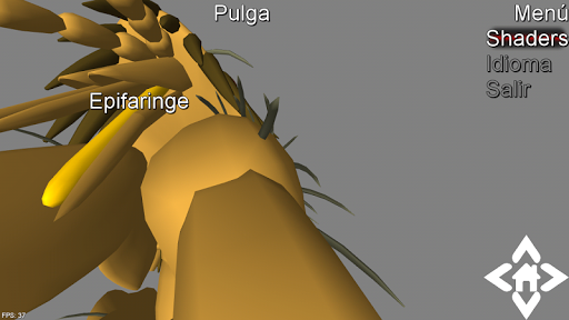 Android application 3D Flea Explorer screenshort