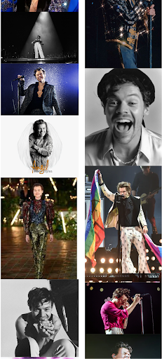 Harry Styles - Fan Images Screen 2