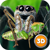 Tarantula Monster Spider Sim icon