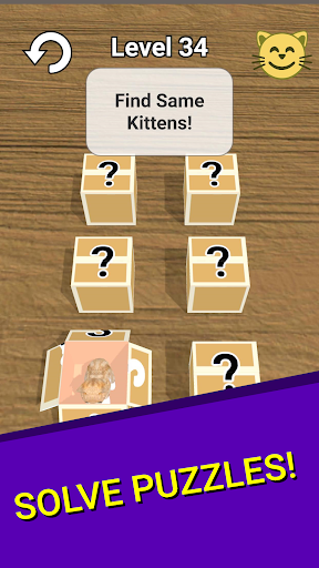 Kitty Cat Screen 2