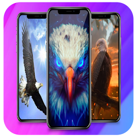 Eagle Wallpaper Live