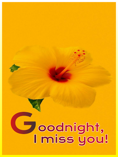 Good night, Evening wishes Screen 2