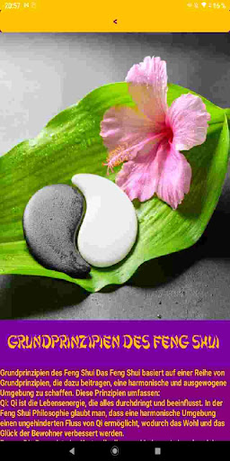 Feng Shui - Heim & Garten Screen 3