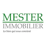 Mester Immobilier icon