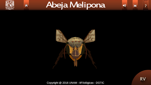 Abejas mayas Screen 2