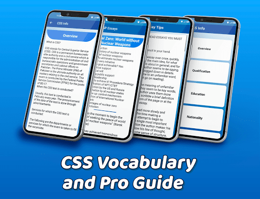 CSS Vocabulary- Pro Guide 10