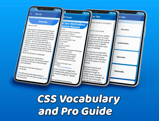 CSS Vocabulary- Pro Guide