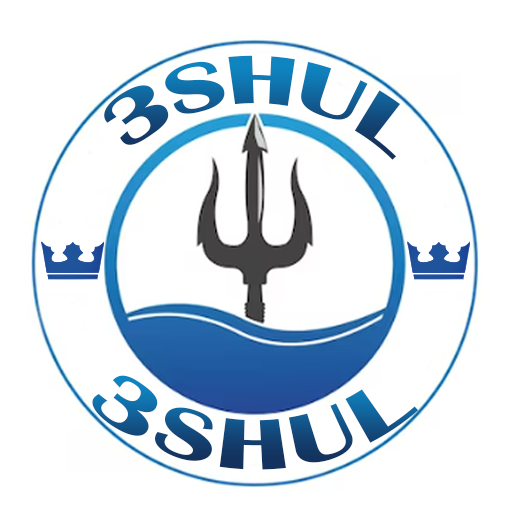 3SHUL logo