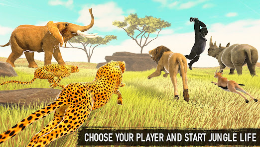 Lion Family Survival Games  screenshots 13