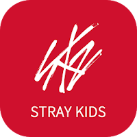 Stray Kids Light Stick