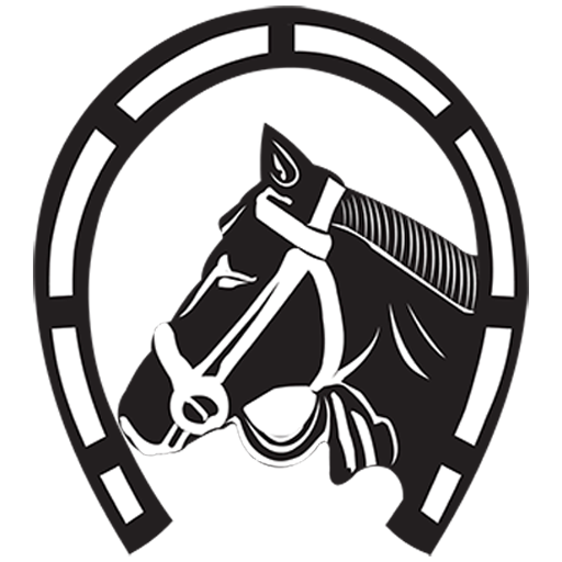 Bombay Bullion logo