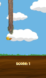 ReynaBirds  -  Bird Adventure Game