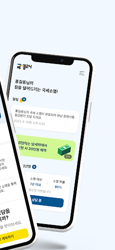 국세24 - 국세 소멸 조회 Screen 2