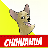 Chihuahua Dogs icon