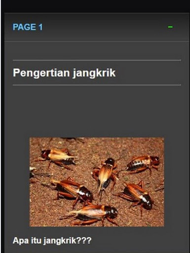 Cultivating bird crickets feed