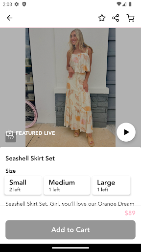 Southern Fuss Boutique Screen 2