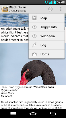 Birds of New Zealandのおすすめ画像3