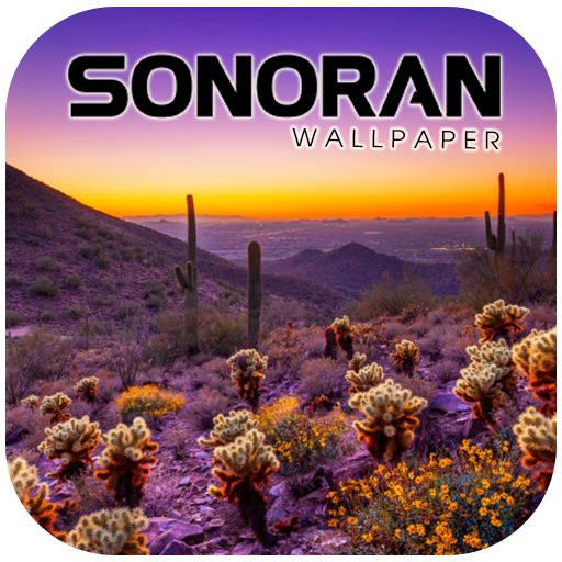 Sonoran Desert Wallpaper