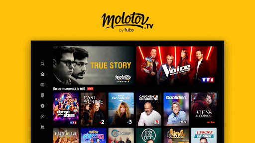 Molotov - TV en direct, replay screenshot 19