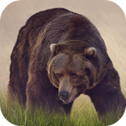 Top 20 Music & Audio Apps Like Bear Sounds - Best Alternatives