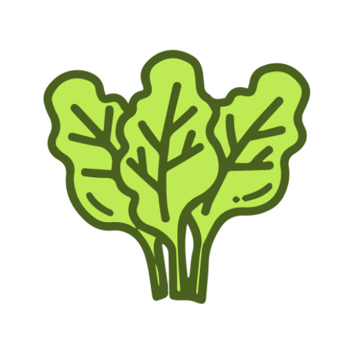 Spinach21 logo