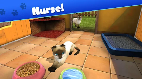 Pet World My animal shelter take care of them v5.6.9 Mod (Free Shopping) Apk