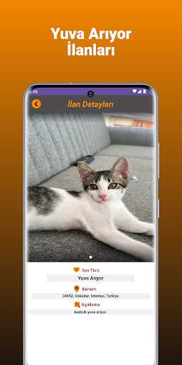 KayıPet - Kayıp  Yuva İlanı