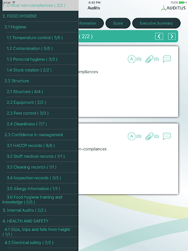 Auditus Pro Screen 2
