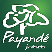 Funcionarios Payande  Icon