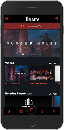 IBEV ONLINE Screen 3