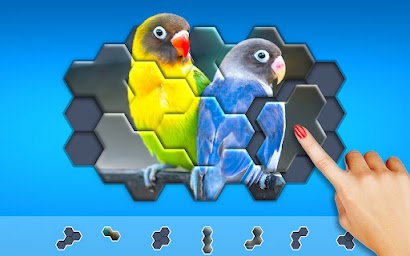 Hexa Jigsaw Puzzle ®