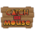 Catch the Mouse1.00.6