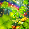Rainbow Forest Riches icon
