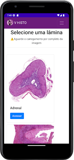 VHISTO - Histologia UERJ Screen 3