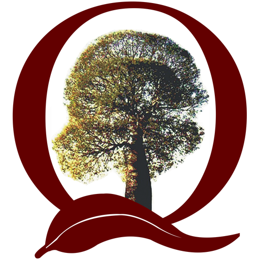 QAA Member logo