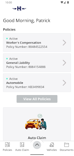 Holden & Company Insurance Screen 2