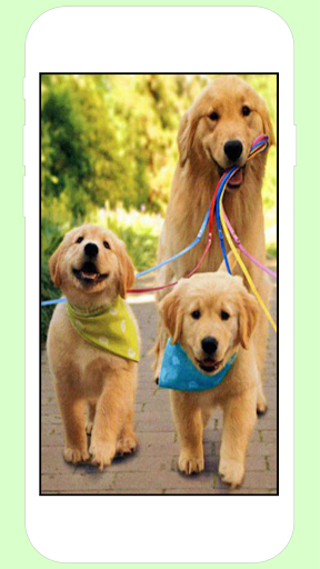 Puppy Wallpapers Screen 3
