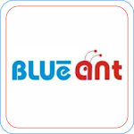 Cover Image of Download BLUe aNT  APK