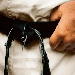 Cover Image of Download Karate Shotokan 7.0 APK