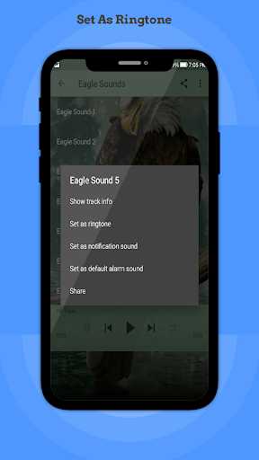 Eagle Sounds Screenshot 4 - AppWisp.com