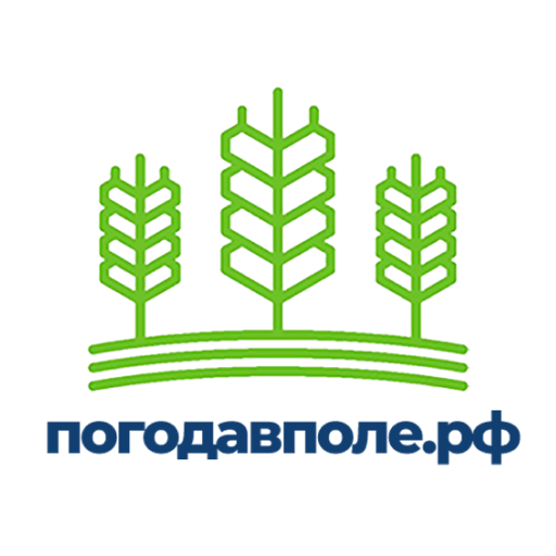 погодавполе.рф logo