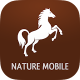 iKnow Horses 2 PRO icon