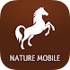 iKnow Horses 2 PRO - Androidアプリ