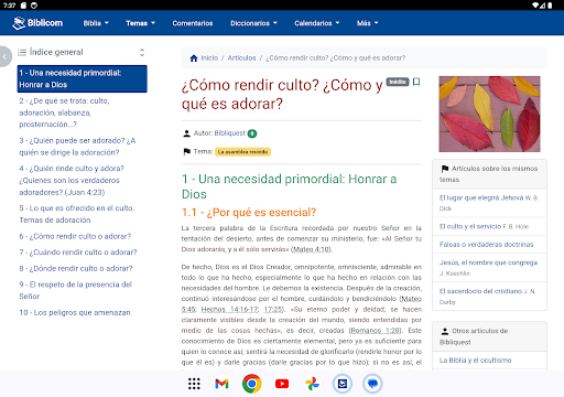 Screenshot 8