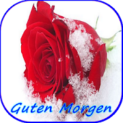 Guten Morgen Blumen Bilder