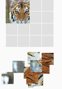 Picture Puzzle - Animals