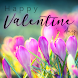 Happy Valentine's Day - Androidアプリ