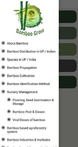 Bamboo and its Uses Screen 3