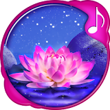 Relax Music Anti-Stress Sounds icon